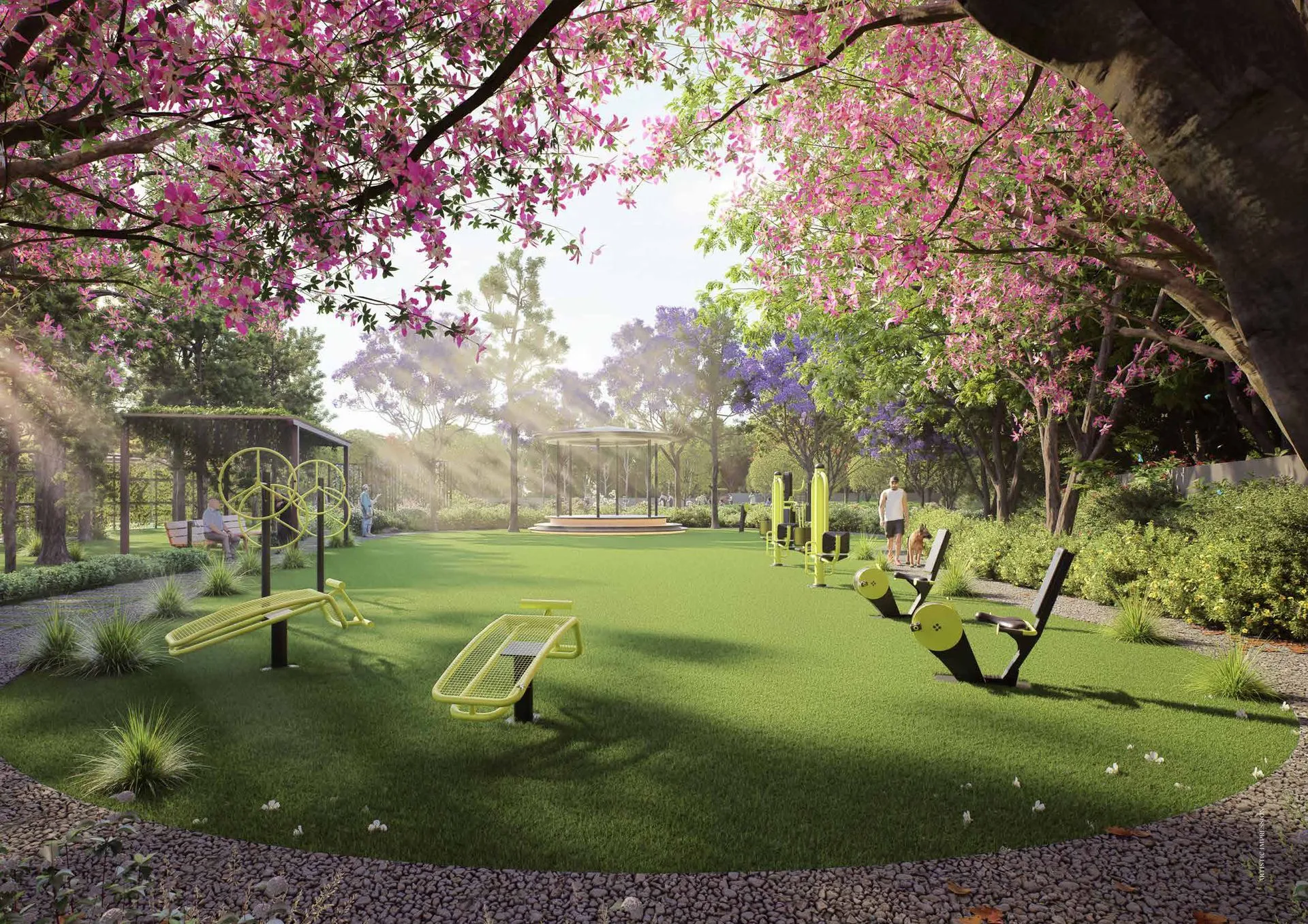 Forest View Gallery 4